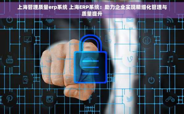 上海管理质量erp系统 上海ERP系统：助力企业实现精细化管理与质量提升
