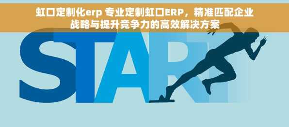 虹口定制化erp 专业定制虹口ERP，精准匹配企业战略与提升竞争力的高效解决方案