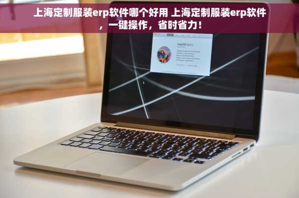 上海定制服装erp软件哪个好用 上海定制服装erp软件，一键操作，省时省力！