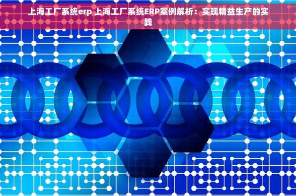 上海工厂系统erp 上海工厂系统ERP案例解析：实现精益生产的实践