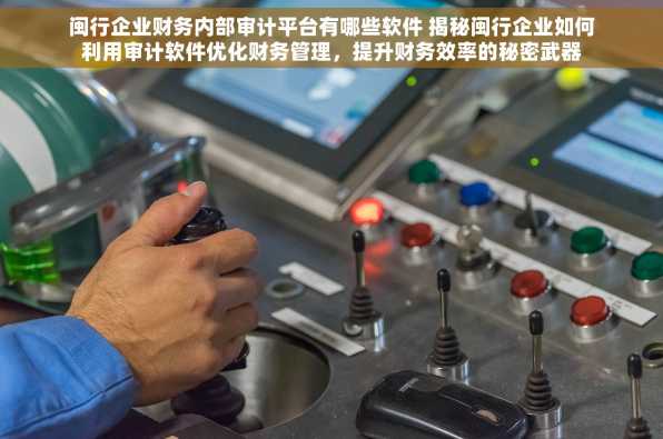 闽行企业财务内部审计平台有哪些软件 揭秘闽行企业如何利用审计软件优化财务管理，提升财务效率的秘密武器