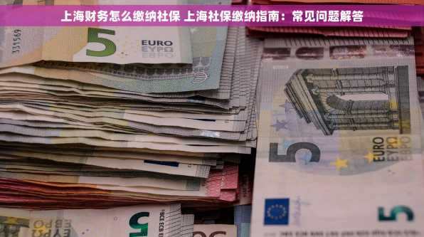 上海财务怎么缴纳社保 上海社保缴纳指南：常见问题解答