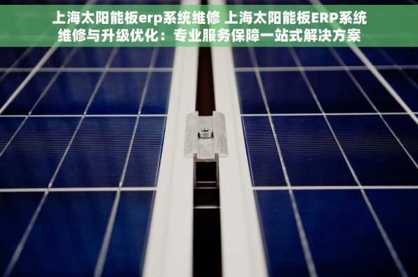 上海太阳能板erp系统维修 上海太阳能板ERP系统维修与升级优化：专业服务保障一站式解决方案
