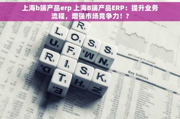 上海b端产品erp 上海B端产品ERP：提升业务流程，增强市场竞争力！?