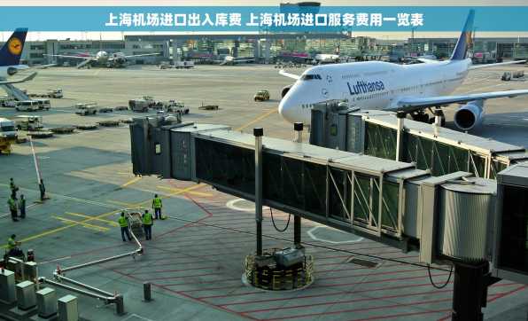 上海机场进口出入库费 上海机场进口服务费用一览表