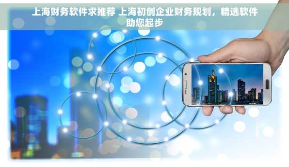 上海财务软件求推荐 上海初创企业财务规划，精选软件助您起步