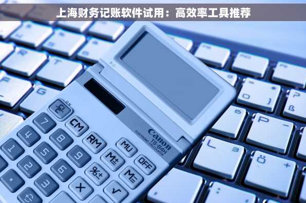 上海财务记账软件试用：高效率工具推荐