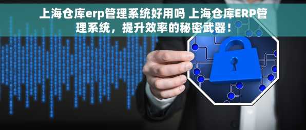 上海仓库erp管理系统好用吗 上海仓库ERP管理系统，提升效率的秘密武器！