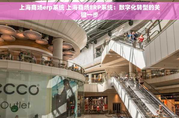 上海商场erp系统 上海商场ERP系统：数字化转型的关键一步