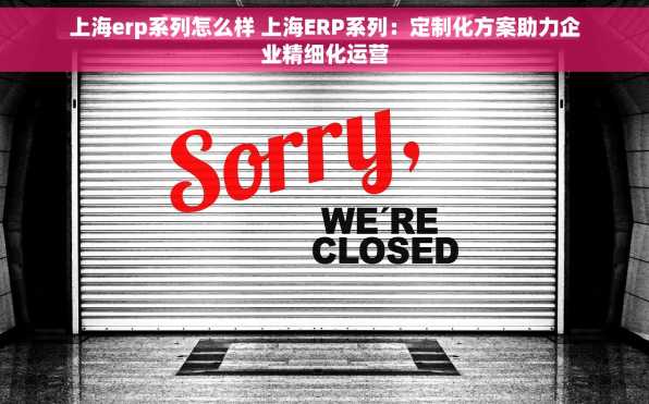 上海erp系列怎么样 上海ERP系列：定制化方案助力企业精细化运营