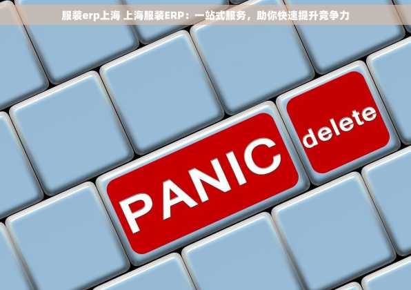 服装erp上海 上海服装ERP：一站式服务，助你快速提升竞争力