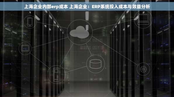 上海企业内部erp成本 上海企业：ERP系统投入成本与效益分析