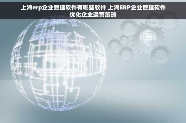 上海erp企业管理软件有哪些软件 上海ERP企业管理软件优化企业运营策略