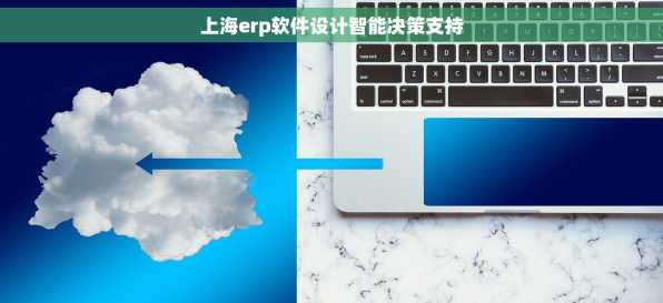上海erp软件设计智能决策支持