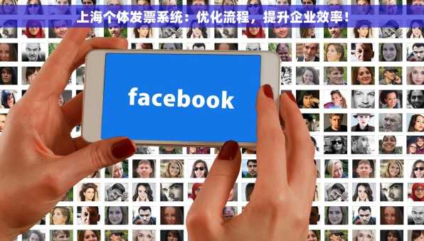 上海个体发票系统：优化流程，提升企业效率！