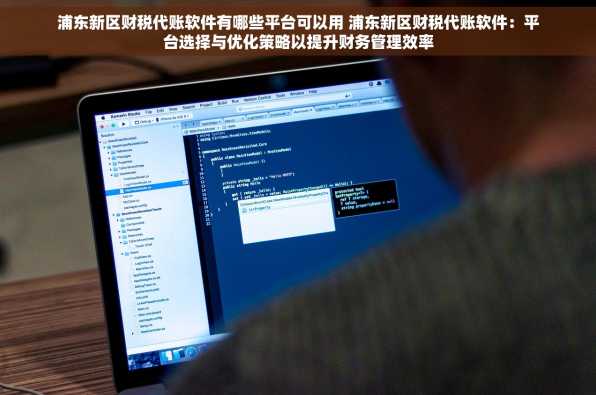 浦东新区财税代账软件有哪些平台可以用 浦东新区财税代账软件：平台选择与优化策略以提升财务管理效率