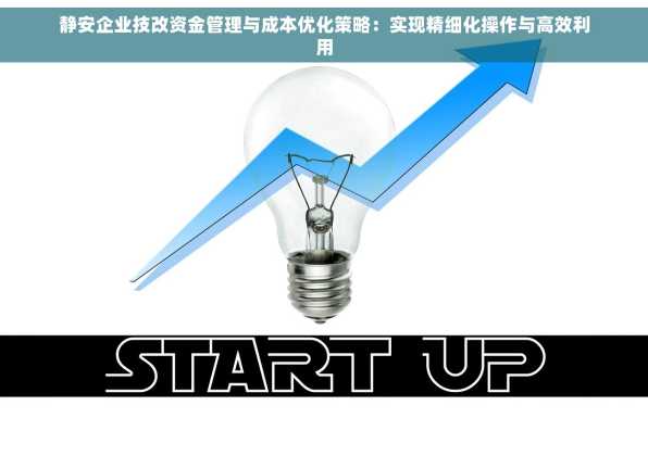 静安企业技改资金管理与成本优化策略：实现精细化操作与高效利用