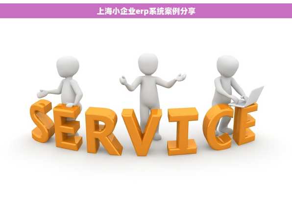 上海小企业erp系统案例分享