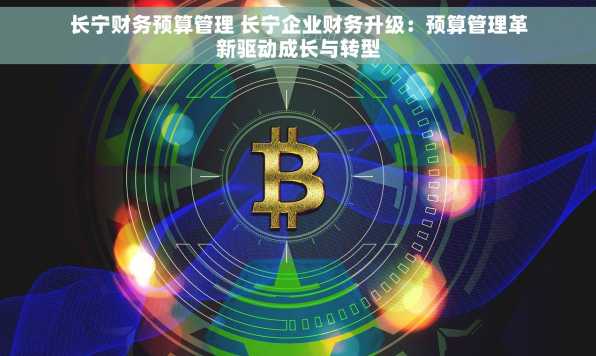 长宁财务预算管理 长宁企业财务升级：预算管理革新驱动成长与转型