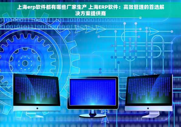 上海erp软件都有哪些厂家生产 上海ERP软件：高效管理的首选解决方案提供商