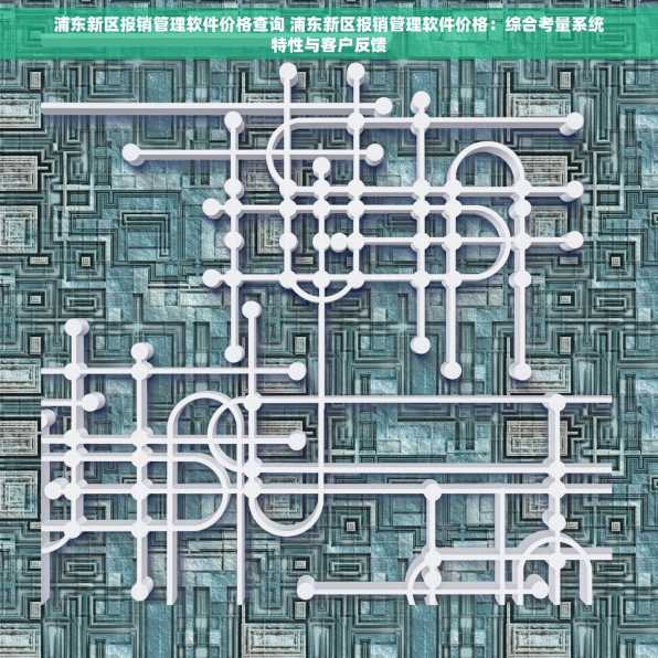 浦东新区报销管理软件价格查询 浦东新区报销管理软件价格：综合考量系统特性与客户反馈