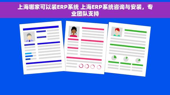 上海哪家可以装ERP系统 上海ERP系统咨询与安装，专业团队支持