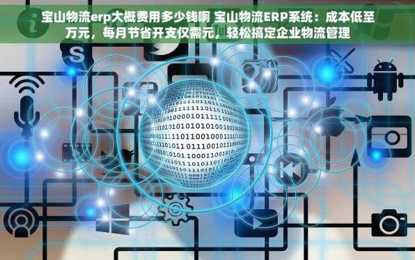宝山物流erp大概费用多少钱啊 宝山物流ERP系统：成本低至万元，每月节省开支仅需元，轻松搞定企业物流管理