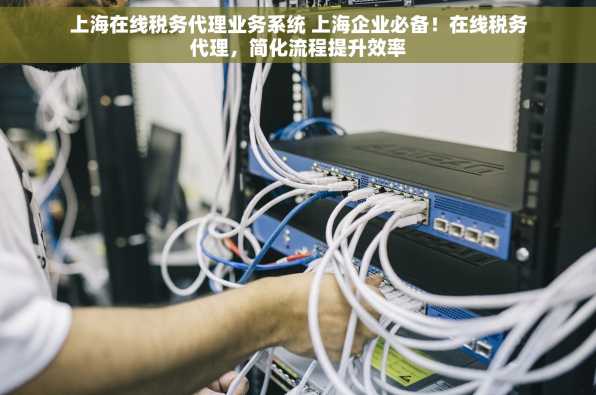 上海在线税务代理业务系统 上海企业必备！在线税务代理，简化流程提升效率