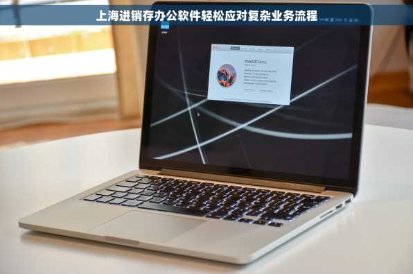 上海进销存办公软件轻松应对复杂业务流程