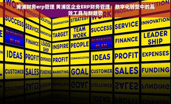 黄浦财务erp管理 黄浦区企业ERP财务管理：数字化转型中的高效工具与新趋势