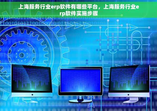 上海服务行业erp软件有哪些平台，上海服务行业erp软件实施步骤
