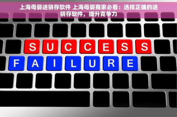 上海母婴进销存软件 上海母婴商家必看：选择正确的进销存软件，提升竞争力