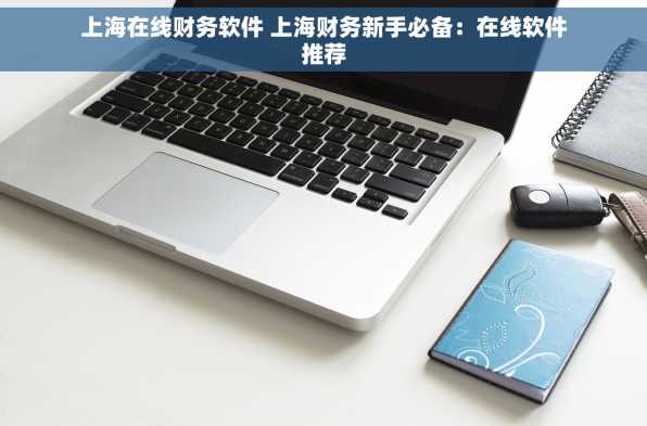 上海在线财务软件 上海财务新手必备：在线软件推荐