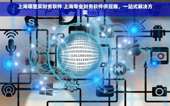 上海哪里买财务软件 上海专业财务软件供应商，一站式解决方案