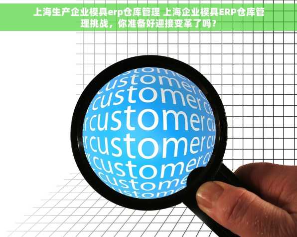 上海生产企业模具erp仓库管理 上海企业模具ERP仓库管理挑战，你准备好迎接变革了吗？