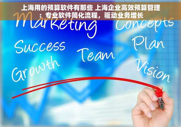 上海用的预算软件有那些 上海企业高效预算管理：专业软件简化流程，驱动业务增长
