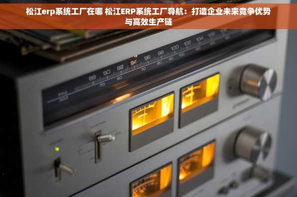 松江erp系统工厂在哪 松江ERP系统工厂导航：打造企业未来竞争优势与高效生产链