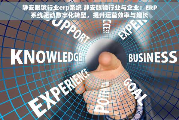 静安眼镜行业erp系统 静安眼镜行业与企业：ERP系统驱动数字化转型，提升运营效率与增长