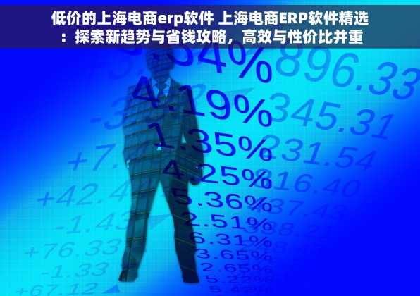 低价的上海电商erp软件 上海电商ERP软件精选：探索新趋势与省钱攻略，高效与性价比并重