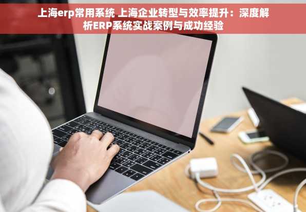 上海erp常用系统 上海企业转型与效率提升：深度解析ERP系统实战案例与成功经验