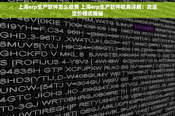 上海erp生产软件怎么收费 上海erp生产软件收费详解：灵活定价模式揭秘