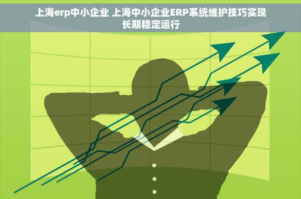 上海erp中小企业 上海中小企业ERP系统维护技巧实现长期稳定运行