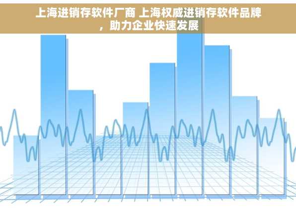 上海进销存软件厂商 上海权威进销存软件品牌，助力企业快速发展