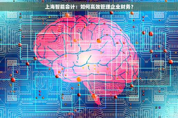上海智能会计：如何高效管理企业财务？