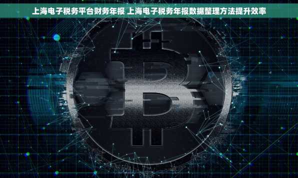 上海电子税务平台财务年报 上海电子税务年报数据整理方法提升效率