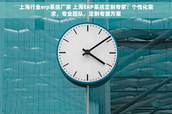 上海行业erp系统厂家 上海ERP系统定制专家：个性化需求，专业团队，定制专属方案
