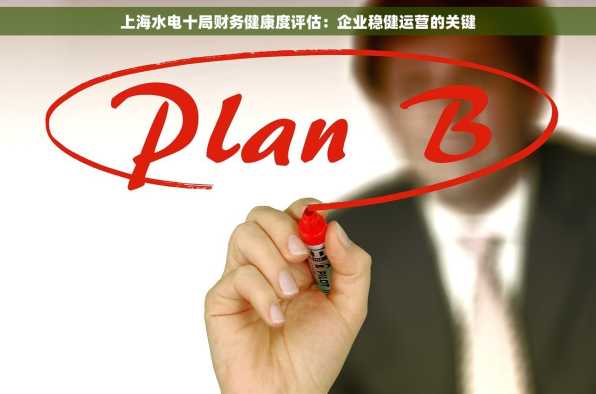 上海水电十局财务健康度评估：企业稳健运营的关键