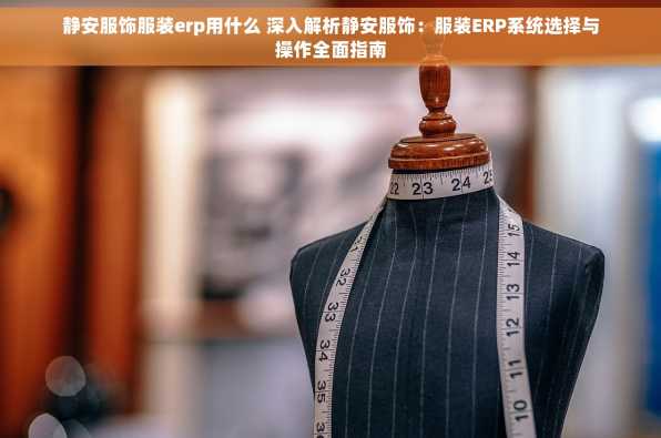 静安服饰服装erp用什么 深入解析静安服饰：服装ERP系统选择与操作全面指南