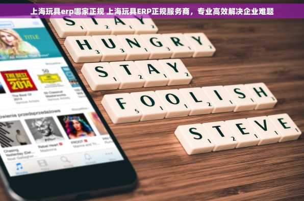 上海玩具erp哪家正规 上海玩具ERP正规服务商，专业高效解决企业难题