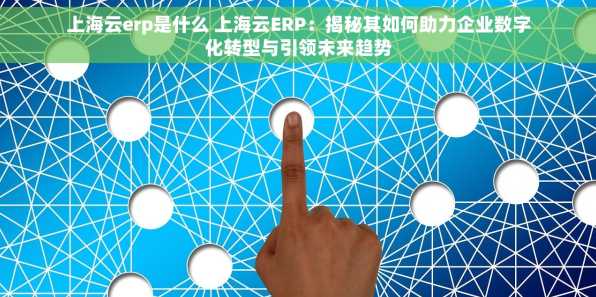 上海云erp是什么 上海云ERP：揭秘其如何助力企业数字化转型与引领未来趋势